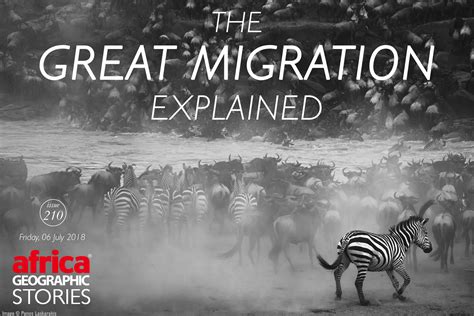  The Great Migration: Bir İki Boyutlu Yolculuk ve Renklerin Dansı!